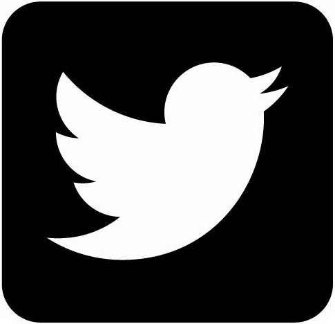 Logo twitter